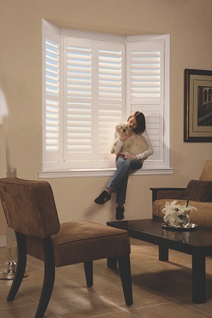 window shutters NorthShield